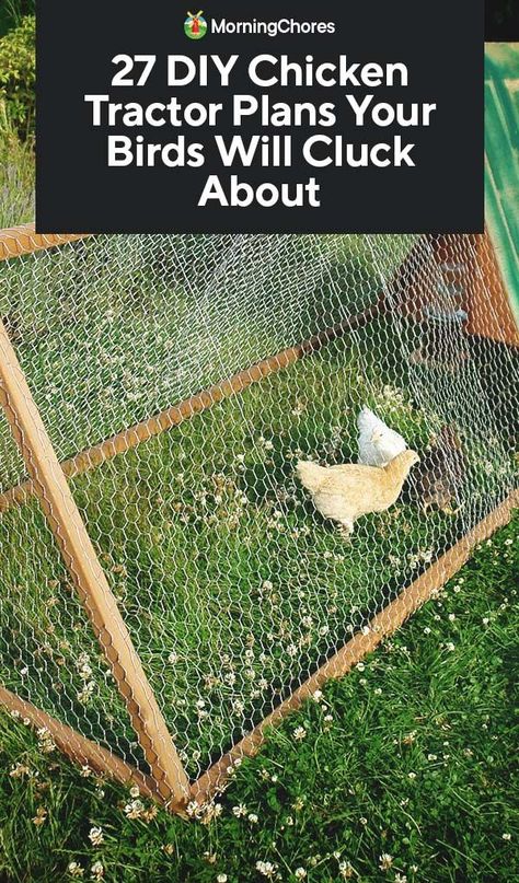 27 DIY Chicken Tractor Plans Your Birds Will Cluck About Diy Chicken Tractor, Bird Houses Ideas, Chicken Tractor Plans, Raising Turkeys, Portable Chicken Coop, Chicken Pen, Chicken Tractors, Tractor Idea, Bird Houses Ideas Diy