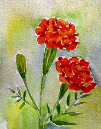 Marigolds from my garden wall by Meltem Kilic Marigolds Painting Easy, Marigold Painting Easy, Marigold Acrylic Painting, Watercolour Marigold, Watercolour Marigold Flower, Academic Drawing, Floral Watercolor Paintings, Daily Painters, Watercolor Pumpkins