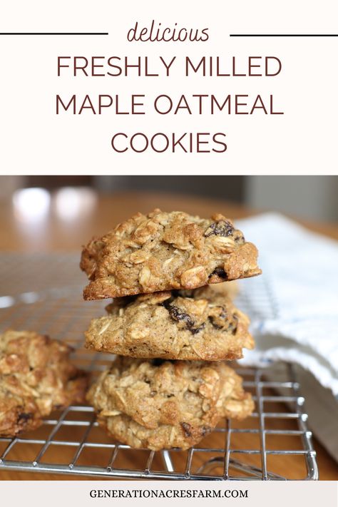 freshly milled whole grain maple oatmeal cookies Unsifted Recipes, Grains And Grit, Milled Flour Cookies, Whole Grain Flour Recipes, Desserts With Maple Syrup Instead Of Sugar, Whole Grain Cookie Recipes, Whole Grain Desserts, Whole Grain Cookies, Fresh Milled Muffin Recipes