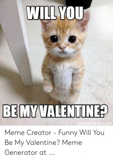 Grumpy Meme, Valentine Meme, Cat Birthday Memes, Valentine Memes, Cat Grumpy, Valentines Cat, Kitty Play, Valentine Cat, Valentines Memes