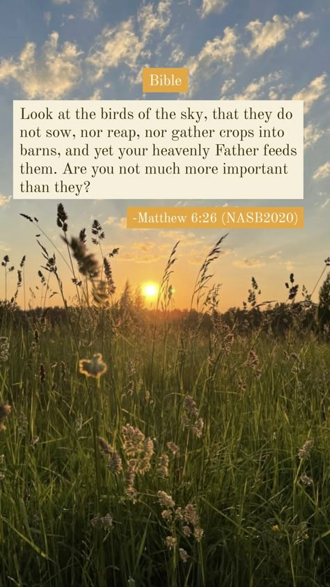 Bible | Matthew 6:26 | NASB2020 - New American Standard Bible 2020 Matthew 6:26 Wallpaper, Mathew 25, Bible Matthew, Matthew 6 26, Memory Verses, Matthew 25, Bible Verse Background, New American Standard Bible, Matthew 6