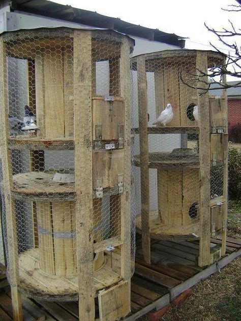 Awesome idea Reban Ayam, Wooden Cable Spools, Spool Ideas, Homing Pigeons, Wire Spool, Coops Diy, Wood Spool, Coop Plans, Rural Living