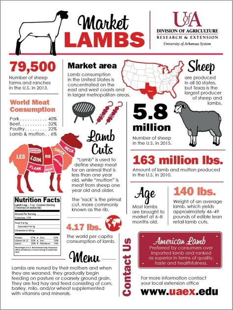 Lamb Symbolism, 4-h Poster Ideas, Agriculture Education Classroom, Agriculture Classroom, Ag Classroom, Livestock Judging, Farm Facts, Ag Education, Ag Teacher