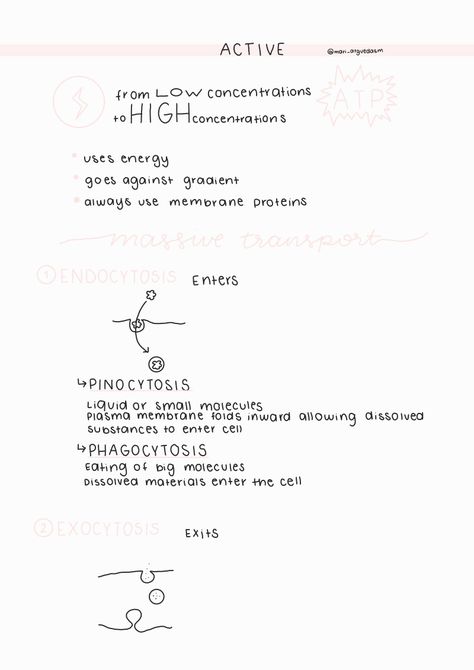 Aesthetic biology cell membrane summary notes for school Transport Across Cell Membrane Notes, Passive Transport Notes, Cell Membrane Notes, Protein Biology, Passive Transport, Active Transport, Doctor Of Osteopathic Medicine, Study Things, Summary Notes