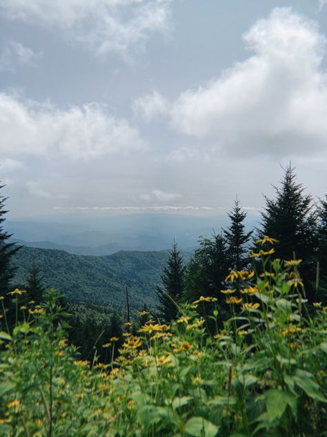 Great Smoky Mountains Aesthetic, Tennessee Flowers, Smokey Mountains Aesthetic, Mountains Aesthetic, Smokey Mountains Vacation, Yellow Wildflowers, G Adventures, Mountain Vacations, Great Smoky Mountains National Park