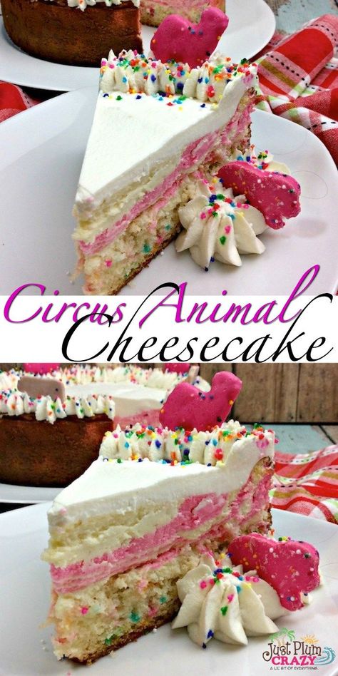 Specialty Cheesecake, Circus Animal Cheesecake, Animal Cookie Cheesecake, National Cheesecake Day, Animal Cookie, Fun Animals, Salty Cake, Plain Jane, Oreo Dessert