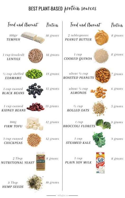 Our nutritionist shares her picks for the best plant-based protein sources, whether you're vegan or just looking to cut down on meat and dairy. Protein Cupcakes, Plant Based Protein Sources, Vegan Protein Sources, Plant Based Foods, Protein Dinner, Plant Based Diet Recipes, Vegetarian Protein, Protein Muffins, Protein Desserts