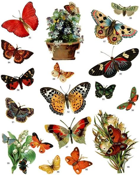 How to Decoupage and Transfer Designs - FeltMagnet Decoupage Diy, Image Paper, Butterfly Clip Art, Printable Images, Free Medical, Insect Art, Vintage Scrapbook, Vintage Butterfly, Artist Trading Cards