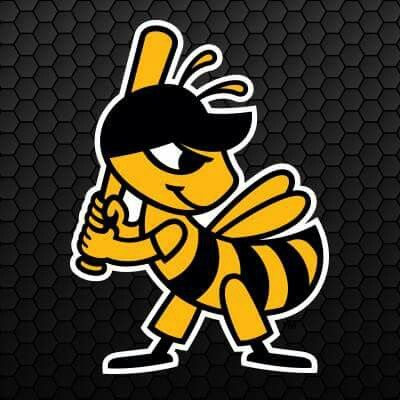 Salt Lake Bees. Salt Lake Bees Logo, Yellow Jacket Mascot, Orbit Astros Mascot, Bee Mascot, Baseball Teams Logo, Bee Tattoo, Salt Lake City Utah, Baseball Team, Cal Logo