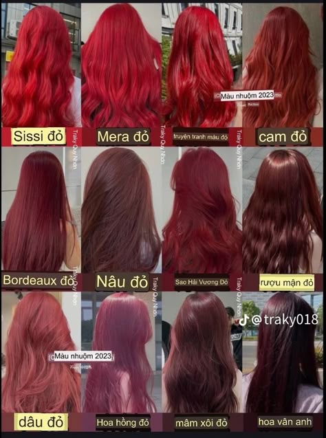 Different Types Of Hair Colors, Red Rose Hair Color, Type Of Red Hair Color, Types Of Red Hair, Red Halo Hair, Halo Hair Colors, Asian Red Hair, Pelo Color Vino, Create Pin