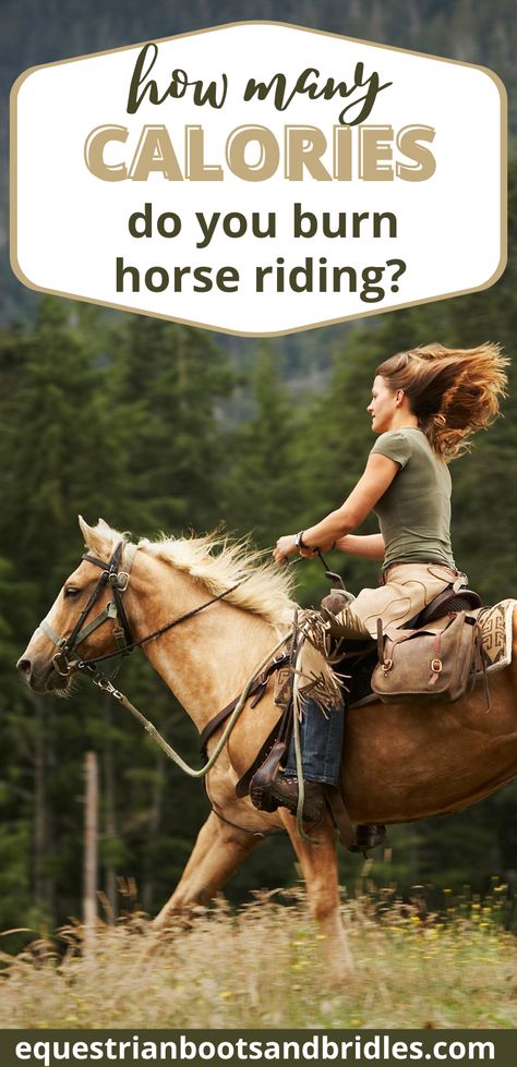 Beginner Jumping Exercises Horse, English Riding Tips, Western Riding Tips, Tackless Horse Riding, Horse Riding Tips Western, Horse Riding Tips For Beginners, Western Riding Outfit, Horseback Riding Outfit Western, Western Horse Riding Aesthetic