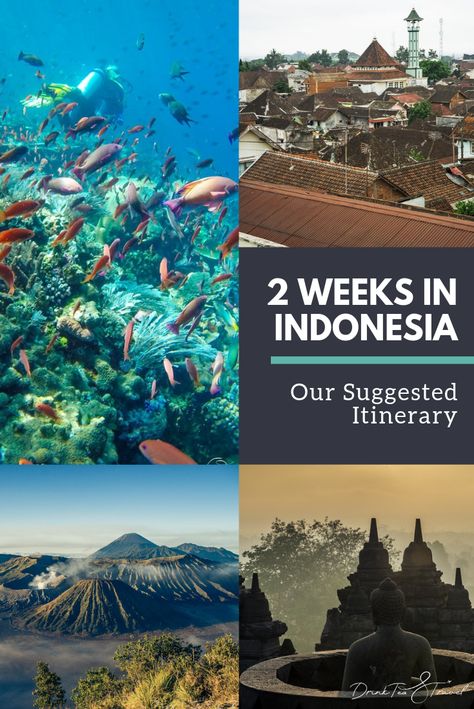 Are you looking to head off on an Indonesia backpacking adventure and looking for the best 2 week itinerary for your time in Indonesia? Our suggested Indonesia itinerary, has you covered if you only have 2 weeks to spend in the beautiful South East Asia country. This 2 week itinerary is filled with all the Indonesia must-do activities, sites to see and places to check out while on your Indonesian adventure! Indonesia 2 Week Itinerary, Indonesia Travel Itinerary, Backpacking Indonesia, Indonesia Itinerary, Travelling Asia, Backpacking Routes, Dream Holidays, Vietnam Backpacking, Backpacking South America