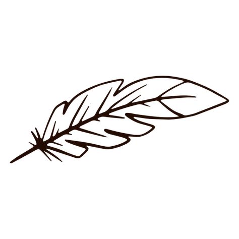 Hand Drawings On Hand With Pen Easy, Quill Drawing, Feather Doodle, Cover Page For Project, Pen Doodles, Front Page Design, Feather Quill, Black Png, Feather Pen