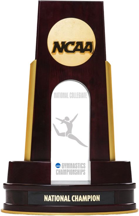 Gymnastics Awards, Gymnastics Trophy, Soccer Trophy, Dream Future, Trophy Design, Trophies & Awards, Female Gymnast, National Championship, School Sports