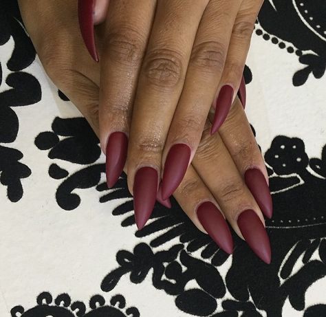 Burgundy matte stiletto nails Matte Stiletto Nails, Zebra Print Nails, Pointy Nails, Stiletto Nails Designs, Burgundy Nails, Get Nails, Simple Nail Designs, Fabulous Nails, Unique Nails