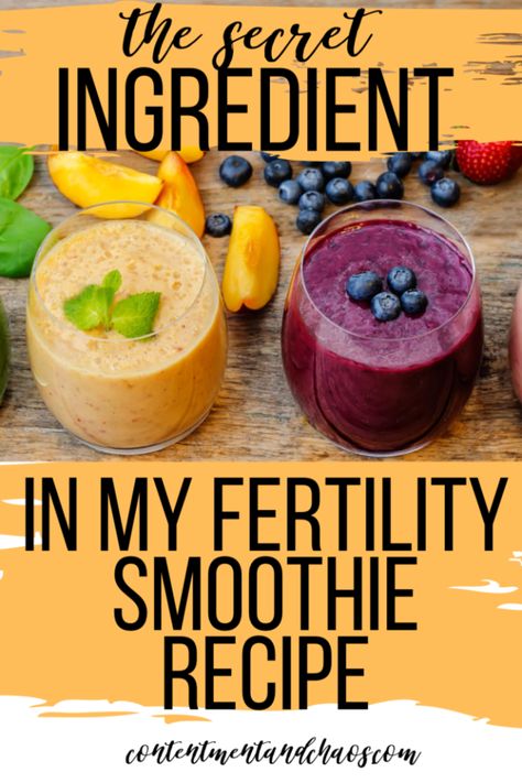 Fertility Diet Plan, Fertility Smoothie, Fertility Foods, Fertility Health, Full Fat Yogurt, Fertility Diet, Eating Alone, Fertility Boost, How To Make Smoothies