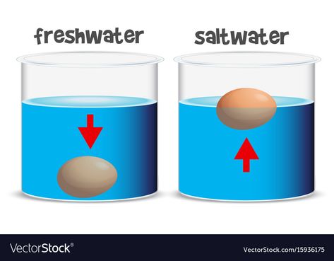 Science Experiment, Science Experiments, Png Images, Fresh Water, Adobe Illustrator, Transportation, Vector Images, Vector Free, Illustrator