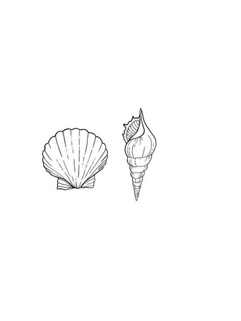 Clam Tattoo Simple, Small Conch Shell Tattoo, Shell Tattoo Placement, Seashell Tattoo Ideas, Cute Shell Tattoo, Matching Shell Tattoos, Sea Shell Tattoo Design, Shell Tattoo Minimalist, Tiny Seashell Tattoo