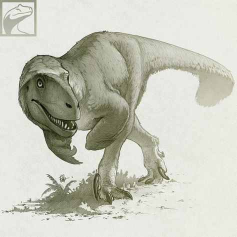 Prehistoric Animals Dinosaurs, Dinosaur Sketch, Cool Dinosaurs, Prehistoric Wildlife, Dinosaur Images, Dinosaur Drawing, Dinosaur Pictures, Dinosaur Illustration, Marvel Logo