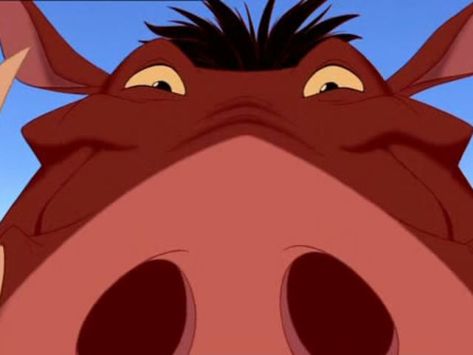 Pumba Lion King, King Character, Lion King Timon, Timon And Pumbaa, Jean Reno, Disney Lion King, Disney Addict, Disney Life, Circle Of Life