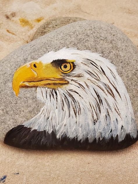 Eagle Rock Painting, Bird Rocks, Bird Painting Acrylic, Rocks Painting, Eagle Face, Paint Crafts, Eagle Painting, Eagle Pictures, Eagle Rock