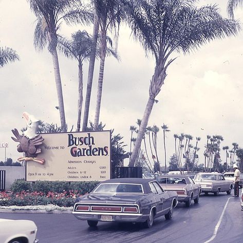 Busch Gardens Tampa Bay, Busch Gardens Tampa, Scenic Pictures, Garden Entrance, Busch Gardens, Vintage Florida, Tampa Florida, Theme Parks, Florida State