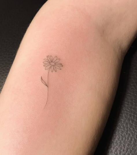 Tattoo For A Grandmother, Grandmother Tattoo Ideas, Small Daisy Tattoo, Daisy Tattoos, Margarita Flower, Daisy Tattoo Designs, Tiny Flower Tattoos, Daisy Flower Tattoos, A Daisy Flower