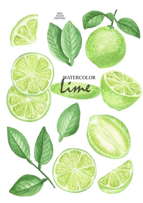 Lime Wedge Drawing, Lime Drawings Fruit, Tropical Fruits Illustration, Lime Wedge Tattoo, Limes Drawing, Lime Slice Tattoo, Lime Paintings, Lime Packaging, Lime Drawings