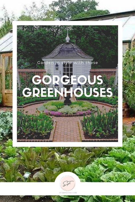 GREENHOUSES: How to Create a Gorgeous Backyard Instantly Greenhouse Shed Combo, Simple Greenhouse, Cottage Garden Sheds, Cold Frames, Diy Greenhouse Plans, Greenhouse Shed, Potting Tables, Greenhouse Ideas, Home Greenhouse