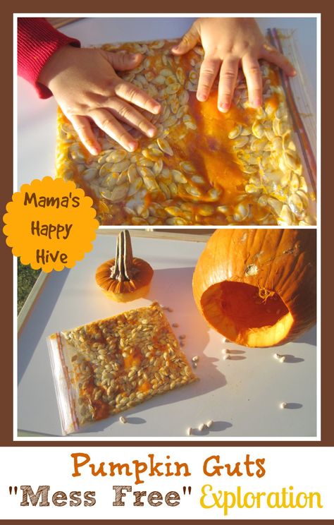 Pumpkin Activities For Toddlers, Pumpkin Sensory, Pumpkin Lessons, Pumpkin Guts, October Activities, Halloween Sensory, Pumpkin Activities, Fall Preschool Activities, October Crafts