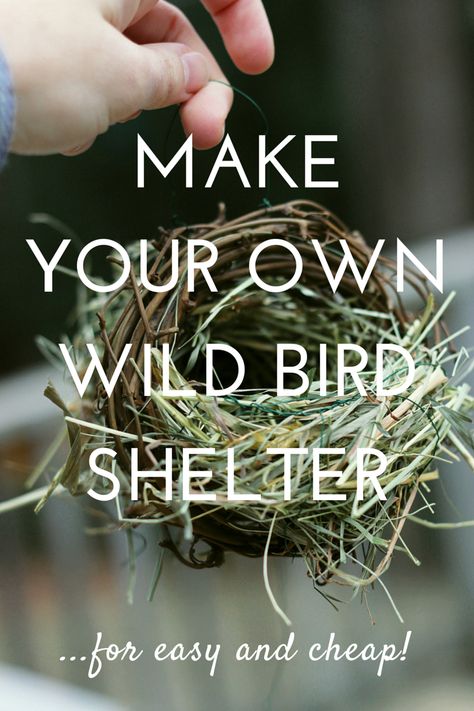 make your own wild bird shelter #DIY Winter Bird Shelter, Bird Shelters For Winter Diy, Helping Nature, Creativity Prompts, Backyard Birds Feeders, Bird Feeder Craft, Fairytale Garden, Rain Shelter, Habitat Garden