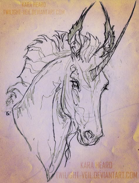 Horse Ear Drawing, Horse Ears Drawing, Pegasus Sketch, Twilight Drawing, Unicorn Art Drawing, Creature Sketch, Horses Ears, Horse Draw, Horse Sketches