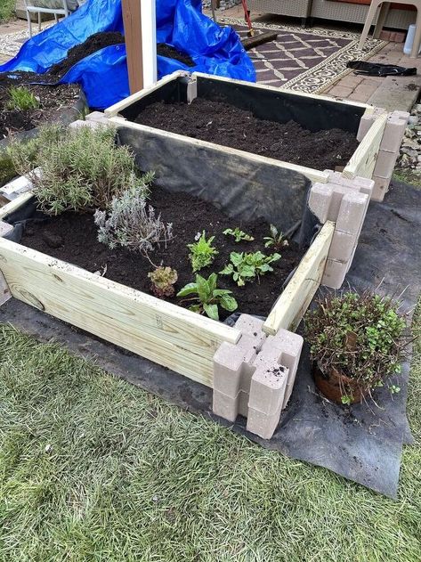 Upgrade your curb appeal with this beautiful raised garden bed for your front yard or backyard on a budget. Backyard On A Budget, Beautiful Raised Garden Beds, Vegetable Garden Layout Design, Large Scale Wall Art, Keyhole Garden, Raised Bed Garden, Old Garden, Raised Flower Beds, Garden Workshops