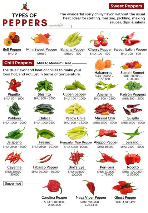 Chili Not Spicy, Pepper Scale, Types Of Chili, Types Of Chili Peppers, Fruits And Vegetables List, Vegetables List, Types Of Peppers, Mini Sweet Peppers, Pepper Recipes