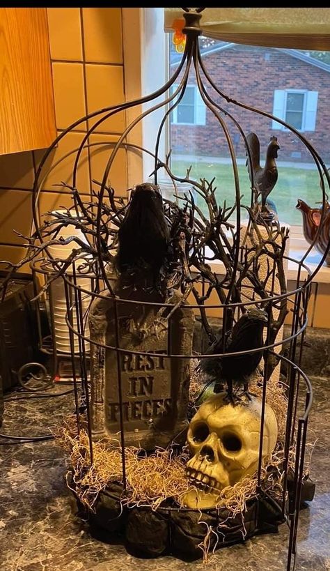 Gross Halloween Decorations, Halloween Birdcage Decor, Bird Cage Halloween Decor, Scary Halloween Centerpiece Ideas, Birdcage Halloween Decor, Halloween Bird Cage, Fall Birdcage Decor Ideas, Halloween Bird Cage Ideas, Halloween Birdcage