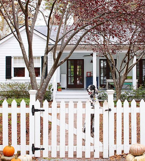 Picket Fences Picket Fence With Trellis, Fences That Don't Obstruct View, Smart Dogs, Casa Hobbit, Fence Installation, White Fence, Building A Fence, Front Yard Fence, White Picket Fence