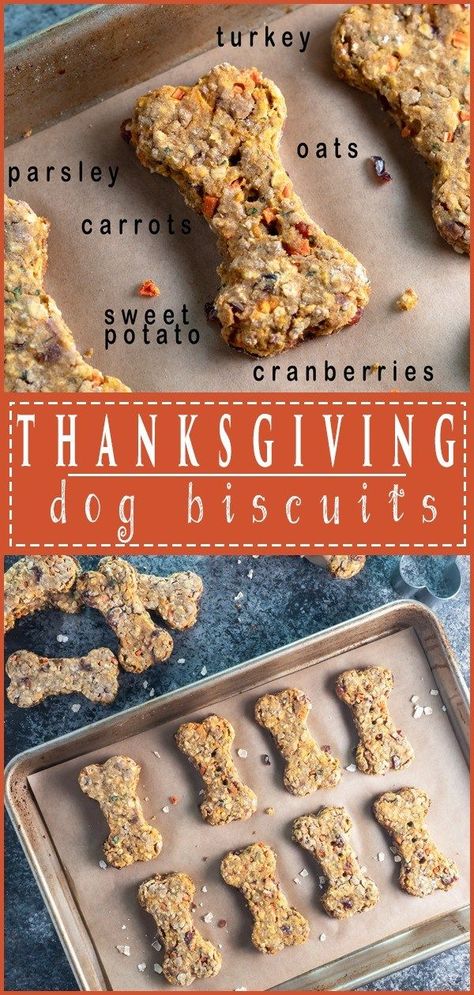 Thanksgiving Dog Treats, Chocolate Reindeer, Reindeer Treats, Cranberry Thanksgiving, Homemade Dog Cookies, Ferrero Rocher Chocolate, Dog Treats Recipes, Best Thanksgiving Side Dishes, Pet Recipes