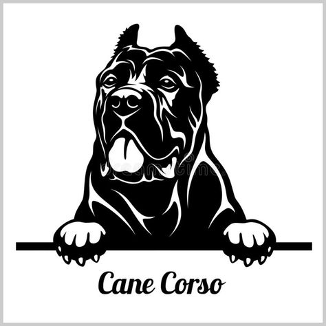 Cane Corso - Peeking Dogs - breed face head isolated on white. Vector stock vector illustration Grooming Room, American Halloween, Bull Terrier Art, Dog Design Art, Dog Candle, Presa Canario, Corso Dog, Dog Sketch, Silhouette Stencil