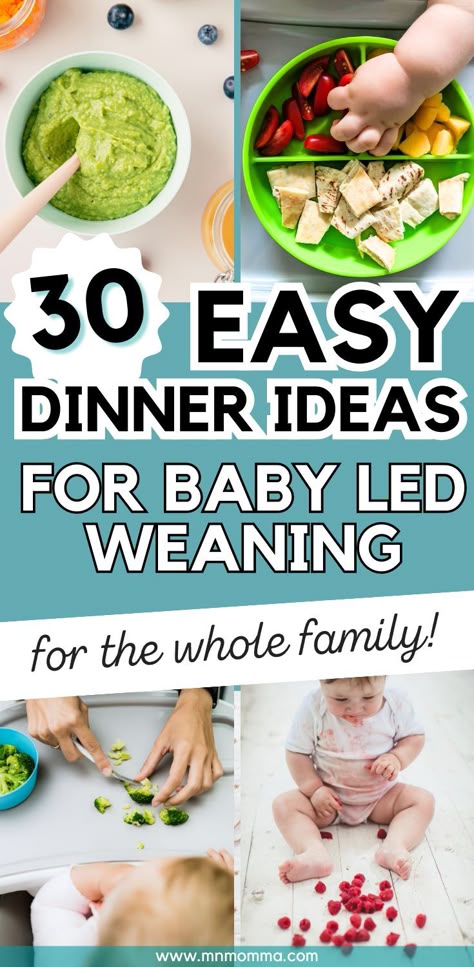 Meal ideas for dinner with baby led weaning (BLW) for the whole family Baby Food 9-12 Months Meal Ideas, Meals For 7 Month Old Baby No Teeth, Dinner Ideas For 6 Month Old, 9 Month Old Daycare Lunch, 6 Months Solid Food, Finger Food For 6 Month Old Baby, Easy Meals 10 Month Old, Dinner Ideas For 11 Month Old, Dinners For 10 Month Old