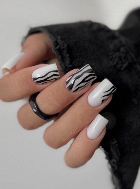 Zebra Nail Designs, Hollywood Nails, Black And White Nail Designs, Black And White Nails, Zebra Print Nails, Black And White Nail Art, Black White Nails, Zebra Nails, Milky Nails