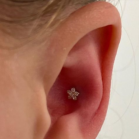 Flower Conch Piercing, Conch Ear Piercings, Conch Stud Piercing, Dainty Piercings, Conch Piercing Ideas, Conch Ear Piercing, Ear Designs, Conch Piercing Stud, Inner Conch Piercing