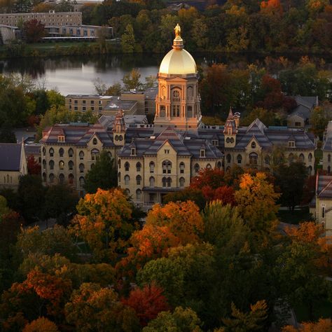 The+25+Most+Beautiful+College+Campuses+in+America University Of Notre Dame Aesthetic, Beautiful Universities, America University, Notre Dame Campus, Beautiful University, College Vibes, College Pictures, College Algebra, South Bend Indiana