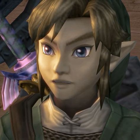 Link Pfp Twilight Princess, Twilight Princess Link Pfp, Link Pfp, Twilight Princess Link, Link Twilight Princess, Link Icon, Legend Of Zelda Twilight Princess, Shigeru Miyamoto, Zelda Twilight Princess