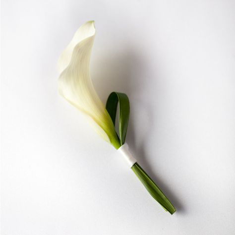 Modern Calla Boutonniere – from Pops of Plum $15 White Tulip Corsage, Calla Lilly Boutineer Ideas, Calla Boutonniere, Cop Wedding, Calla Lillies Wedding, Flowers Wedding Ceremony, White Calla Lily Bouquet, Puglia Wedding, Modern Bridal Bouquets