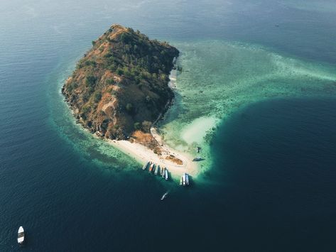 Komodo Island. (Photo by Celvin Purnama via Unsplash) Labuan Bajo, Komodo National Park, Komodo Island, Island Pictures, Komodo Dragon, Quiet Beach, Labuan, Island Tour, Komodo