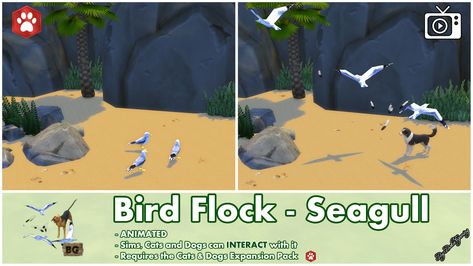 Mod The Sims - Bird Flock Spawner - Seagull (Interactive) Animated Fish, Bird Flock, A Flock Of Seagulls, Flock Of Seagulls, The Sims 4 Custom Content, The Seagull, Sims 4 Studio, The Sims 4 Packs, Flock Of Birds