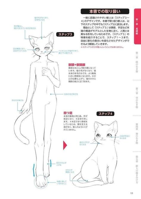 Anthro Cat Drawing Reference, Anthro Cat Anatomy, Cat Anthro Base, Cat Legs Drawing, Human Cat Drawing, Anthro Cat, Cat Face Drawing, Poses Manga, Human Sketch