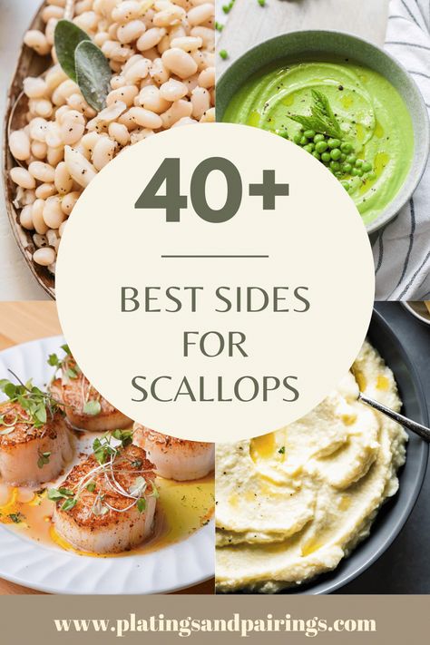 Wondering what to serve with scallops for dinner? This handy guide covers all of the best sides for scallops – from fresh vegetables to risottos, and more! Salad With Scallops, Scallop Sides Dishes, What To Eat With Scallops, What To Make With Scallops, Sides With Scallops, What Goes With Scallops, Dinner Recipes Scallops, Scallops Side Dish, Sides For Scallops Dishes