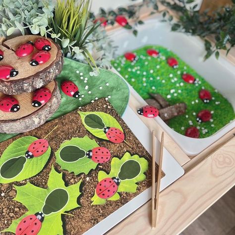 Ladybirds Eyfs, Ladybug Habitat, Ladybug Activity, Sensory Rice, Montessori Trays, Counting Mats, Bug Activities, Baby Ladybug, Eyfs Activities