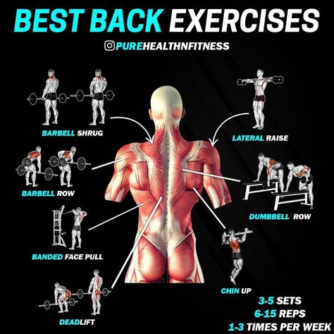 🏆Gym Fitness & Lifestyle🏆 on Instagram: “💥Best Back Exercises💥 __ 💪Tag someone trying to build a bigger back! __ If you’re wanting to build a big, strong back check out these…” Best Back Exercises, Deadlift Squat, Barbell Press, Back Exercise, Dumbbell Shoulder, Dumbbell Shoulder Press, Good Back Workouts, Face Pulls, Gym Tips